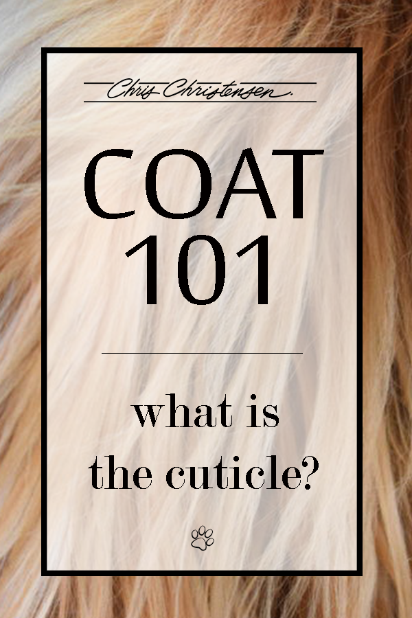 COAT101.cuticle.png
